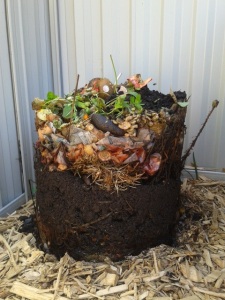 Exemplary Compost